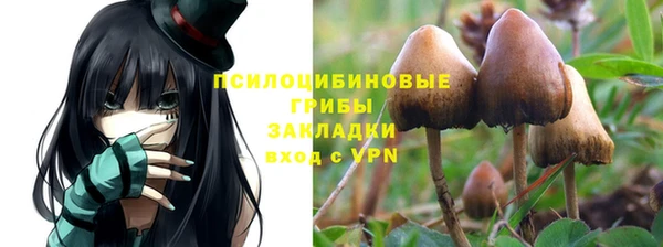 прущая мука Киренск