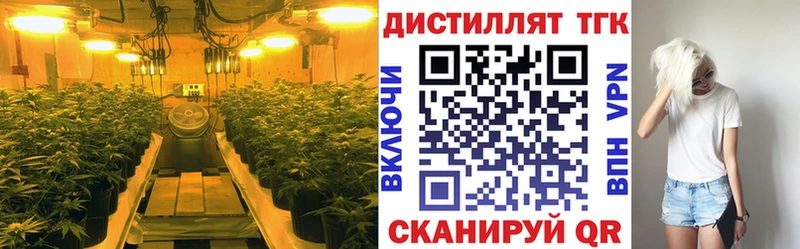Купить  Брянск  Дистиллят ТГК вейп 